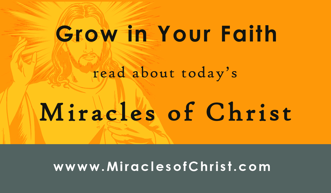 Todays miracles of Christ information card